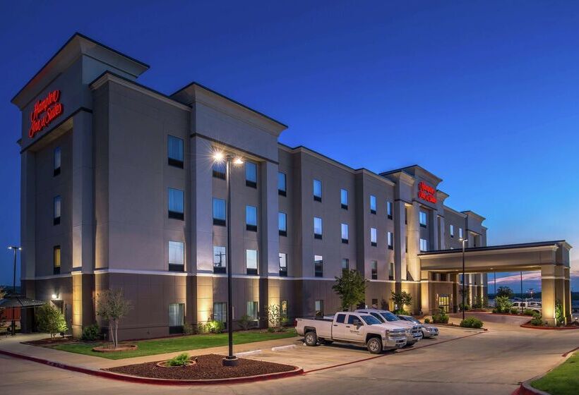 فندق Hampton Inn & Suites Big Spring