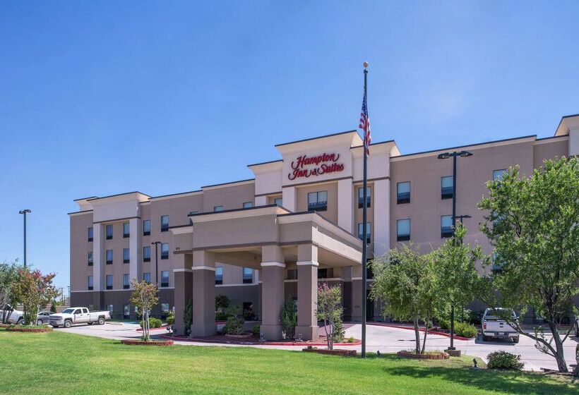 فندق Hampton Inn & Suites Big Spring