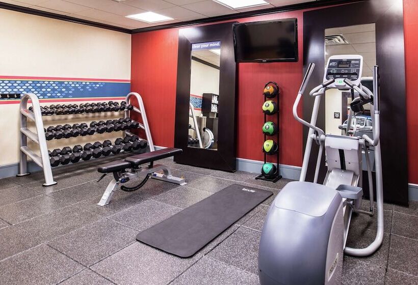 فندق Hampton Inn & Suites Big Spring