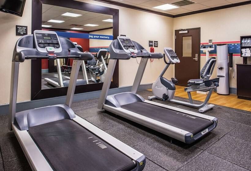 فندق Hampton Inn & Suites Big Spring