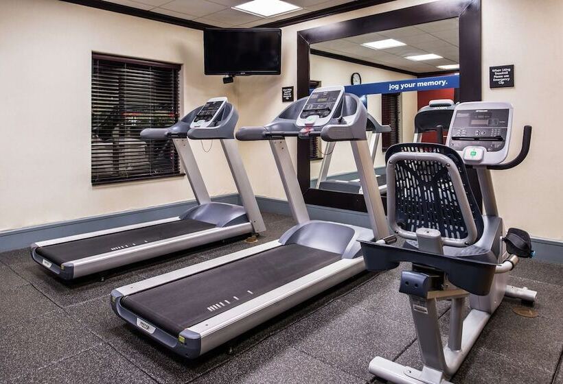 فندق Hampton Inn & Suites Big Spring