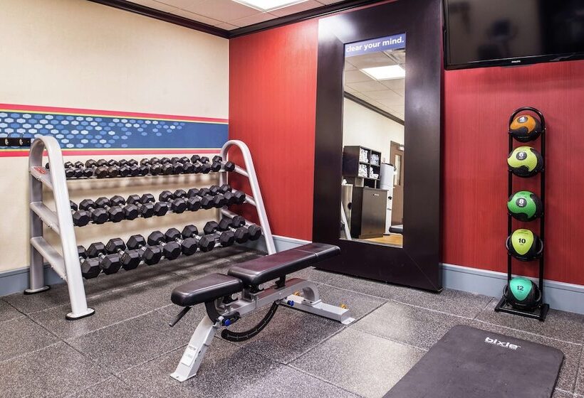 فندق Hampton Inn & Suites Big Spring