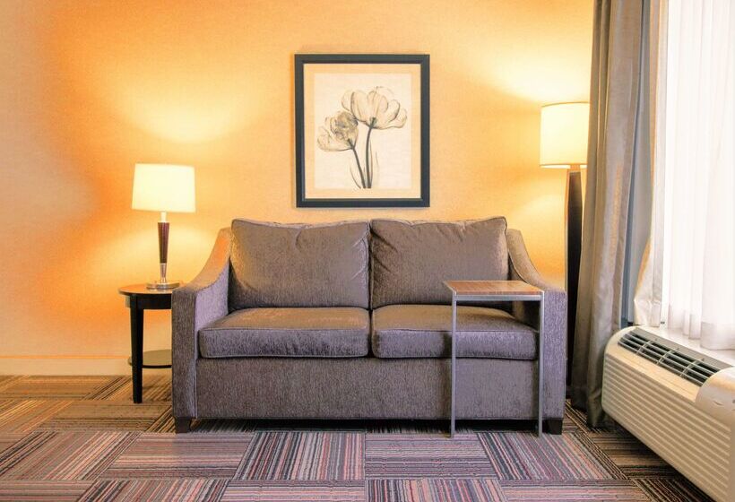 فندق Hampton Inn & Suites By Hilton Flowery Branch Lake Lanier