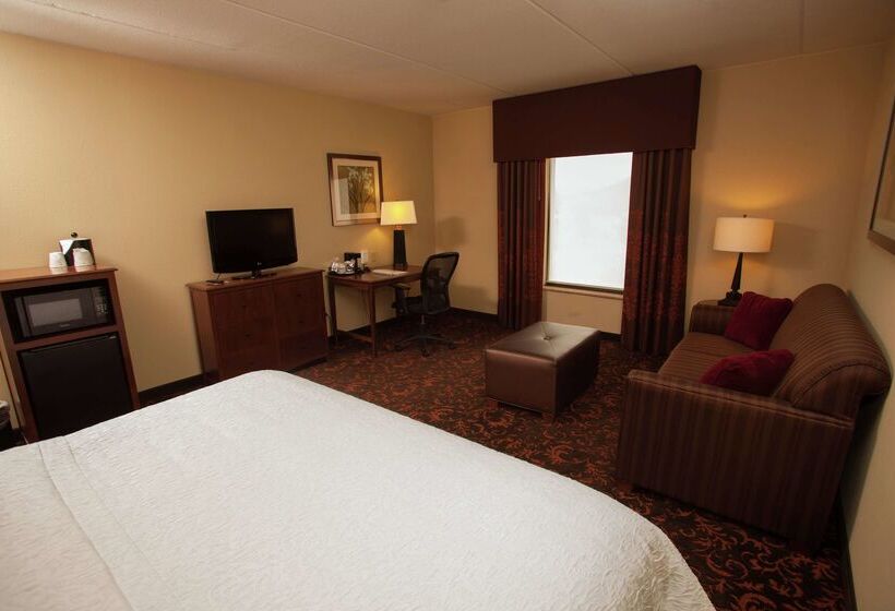 فندق Hampton Inn Elmira/horseheads