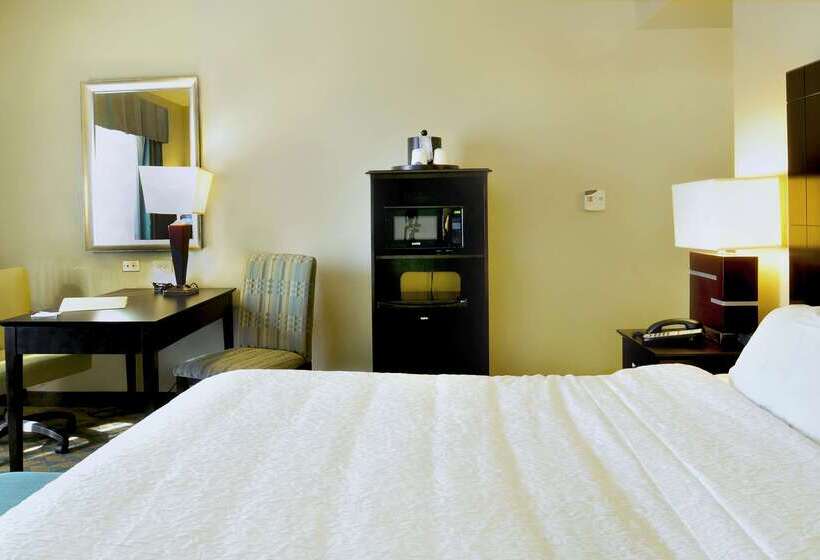 هتل Hampton Inn Gadsden/attalla I59