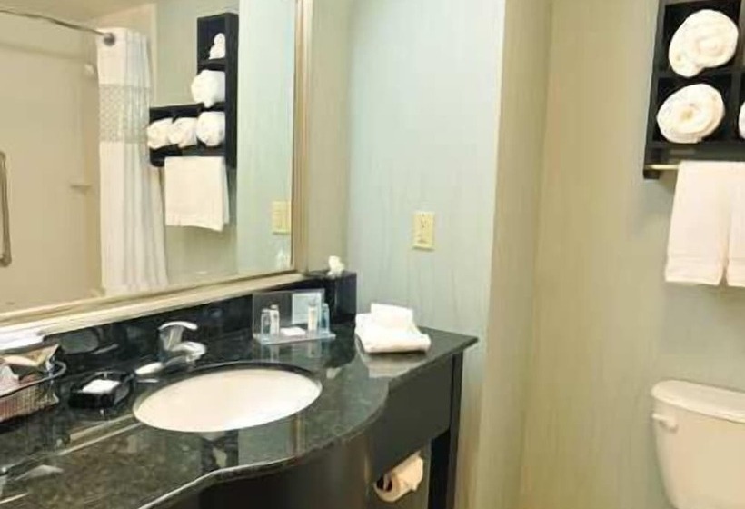 هتل Hampton Inn Gadsden/attalla I59