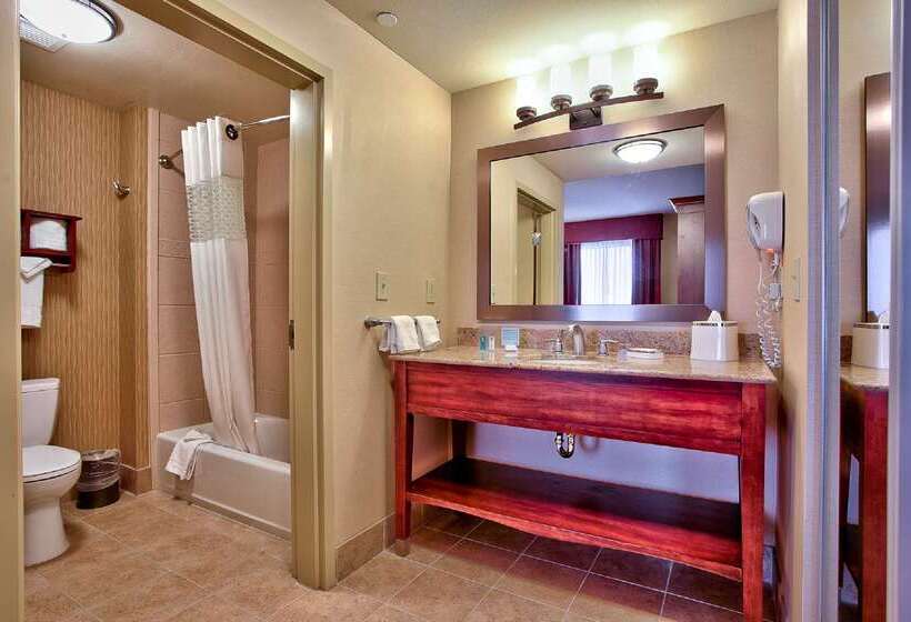 ホテル Hampton Inn & Suites Scottsdale At Talking Stick