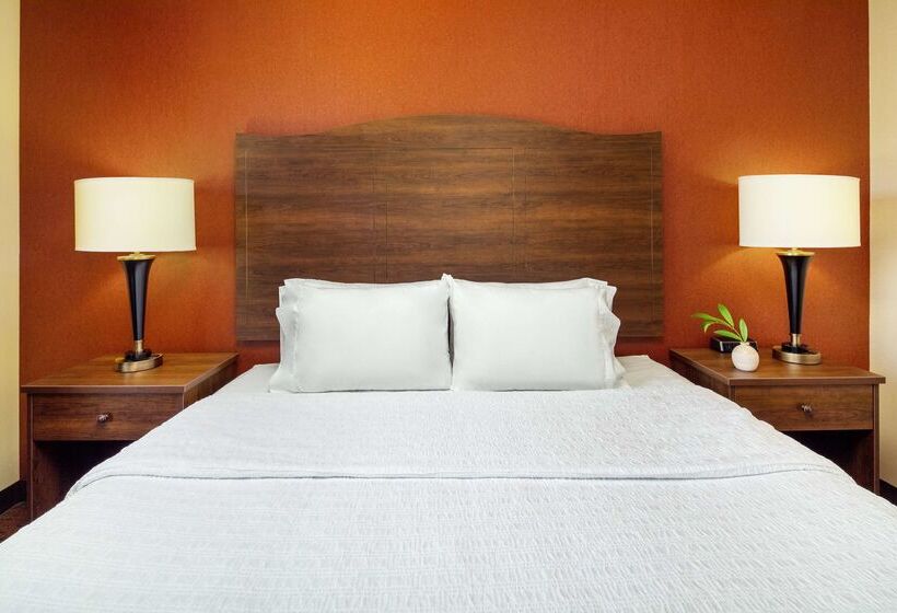 ホテル Hampton Inn & Suites Scottsdale At Talking Stick