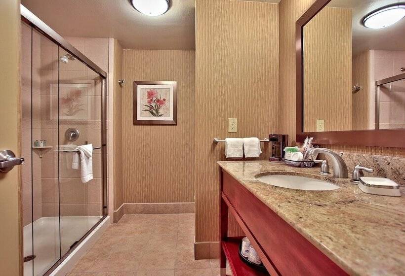 ホテル Hampton Inn & Suites Scottsdale At Talking Stick