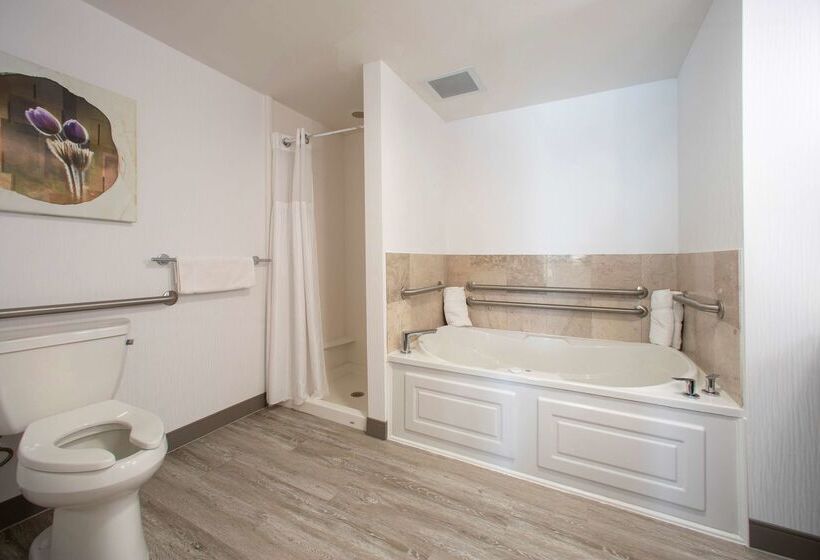 בית מלון כפרי Hilton Garden Inn Rapid City