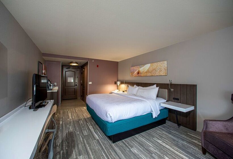 هتل Hilton Garden Inn Rapid City