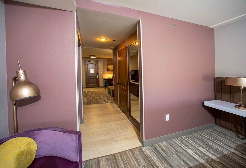 בית מלון כפרי Hilton Garden Inn Rapid City