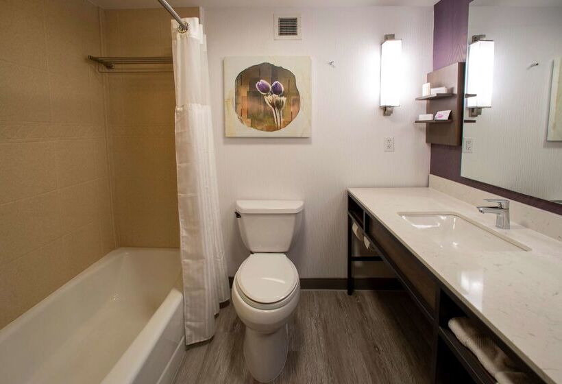 בית מלון כפרי Hilton Garden Inn Rapid City