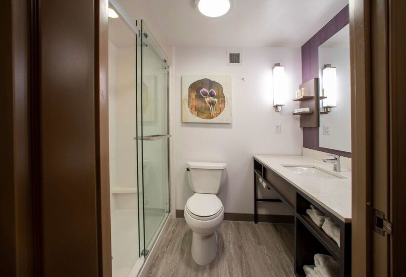 בית מלון כפרי Hilton Garden Inn Rapid City