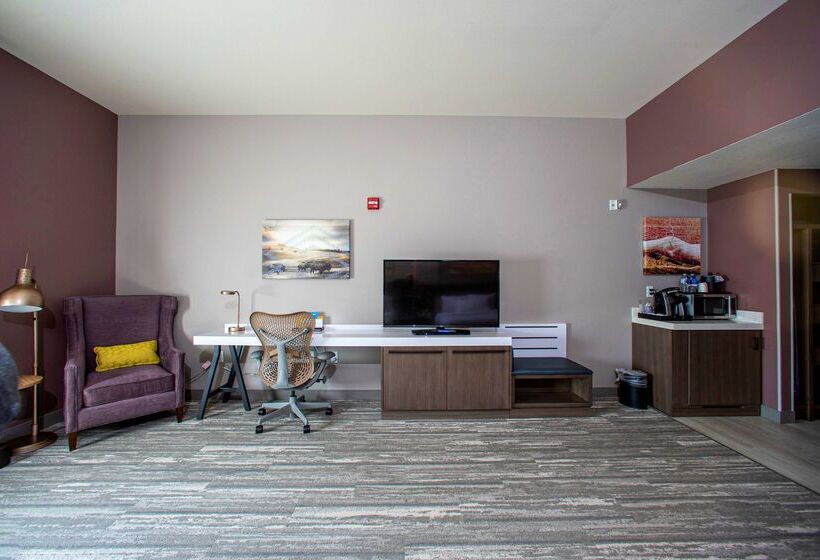 בית מלון כפרי Hilton Garden Inn Rapid City