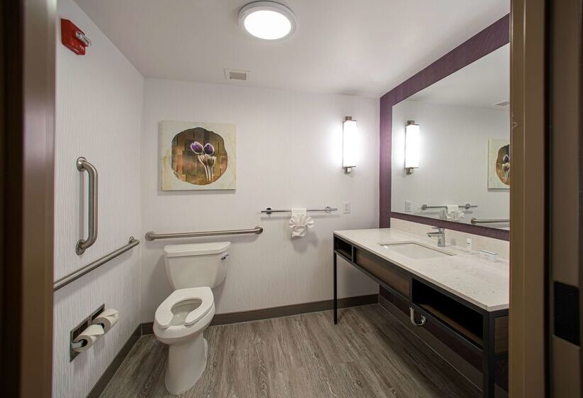 בית מלון כפרי Hilton Garden Inn Rapid City