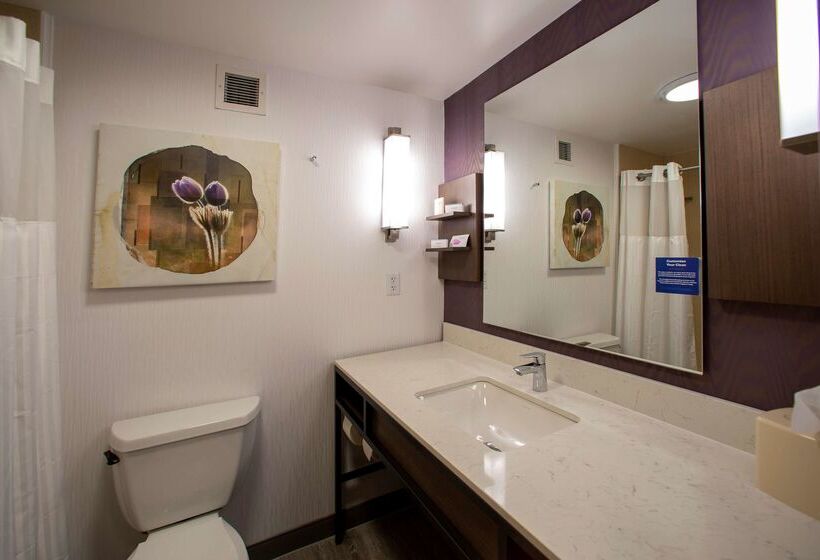 בית מלון כפרי Hilton Garden Inn Rapid City