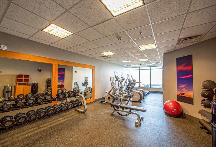 בית מלון כפרי Hilton Garden Inn Rapid City