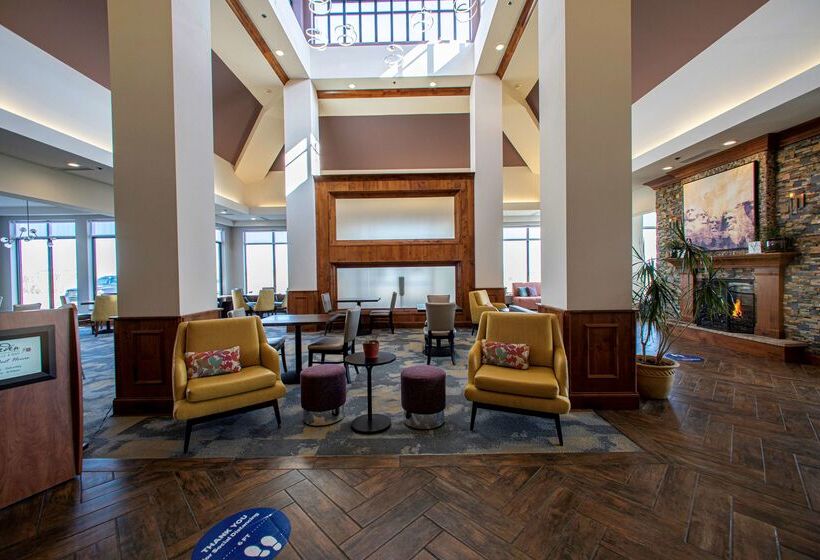בית מלון כפרי Hilton Garden Inn Rapid City
