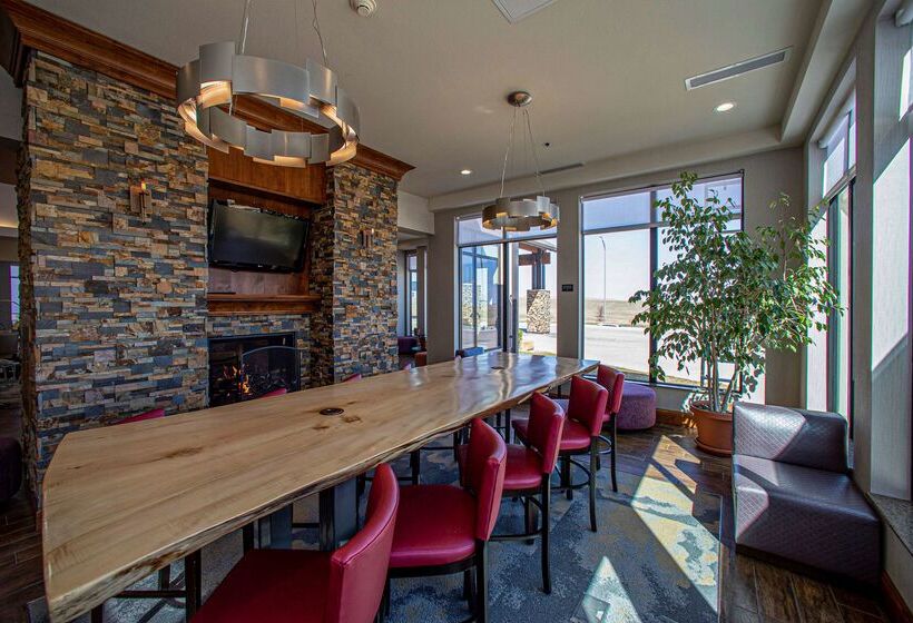 בית מלון כפרי Hilton Garden Inn Rapid City