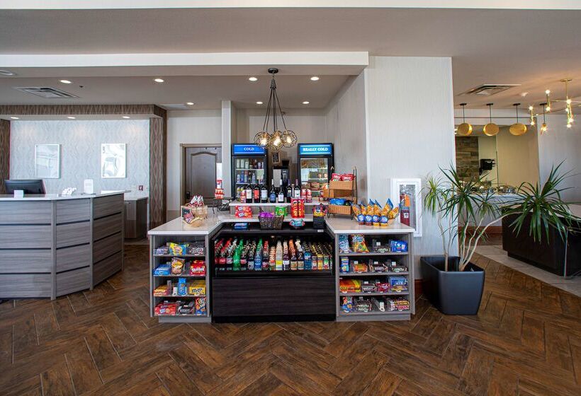 בית מלון כפרי Hilton Garden Inn Rapid City