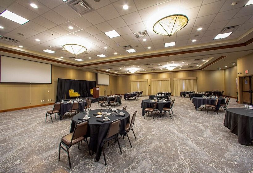 בית מלון כפרי Hilton Garden Inn Rapid City