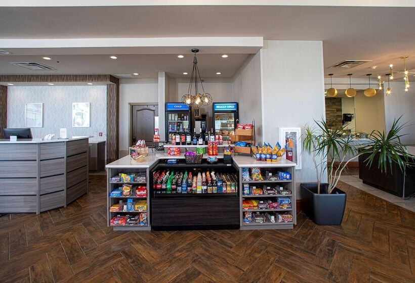 هتل Hilton Garden Inn Rapid City