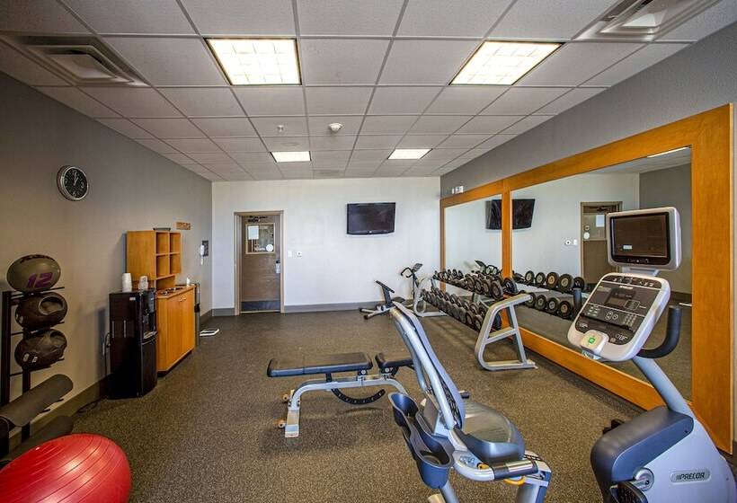 בית מלון כפרי Hilton Garden Inn Rapid City