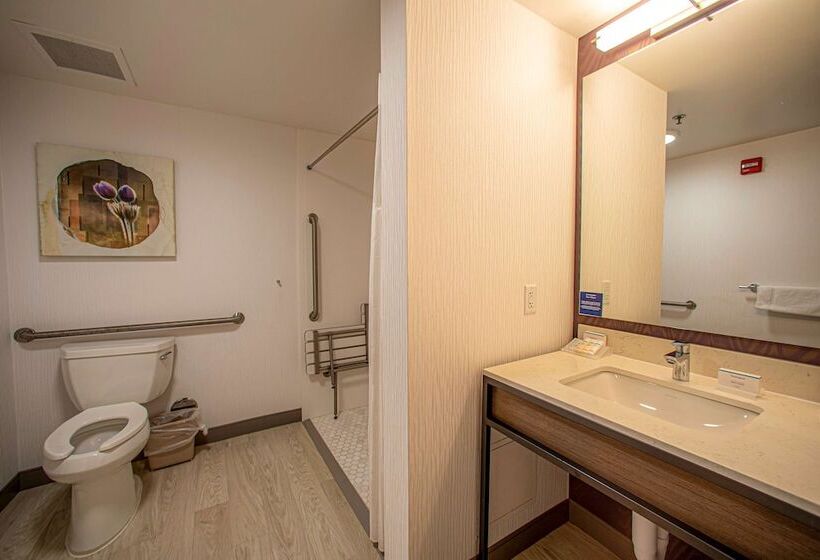 هتل Hilton Garden Inn Rapid City