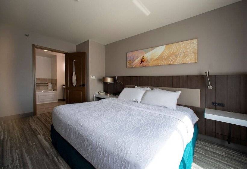 בית מלון כפרי Hilton Garden Inn Rapid City