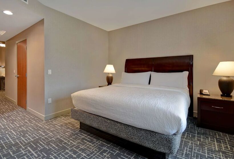 فندق Hilton Garden Inn Twin Falls