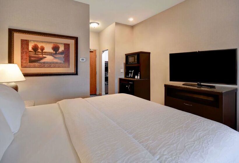 בית מלון כפרי Hilton Garden Inn Twin Falls