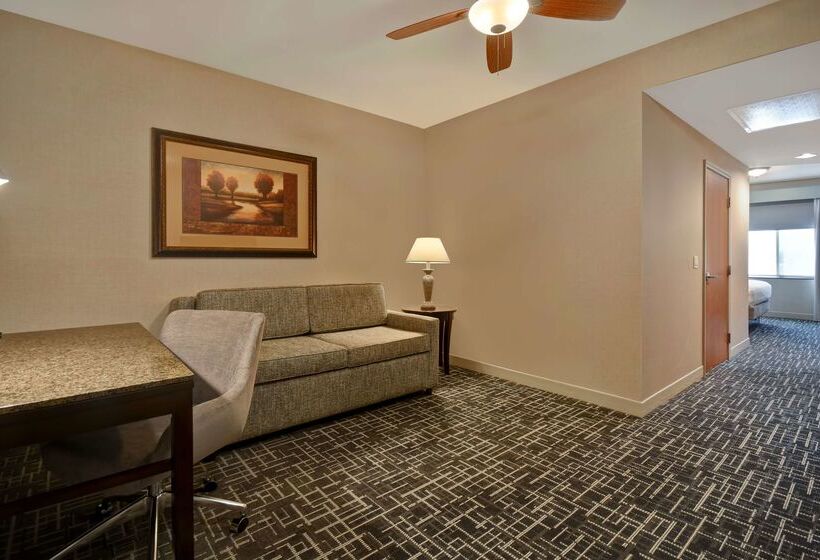 فندق Hilton Garden Inn Twin Falls