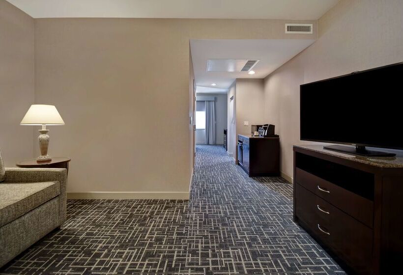 فندق Hilton Garden Inn Twin Falls