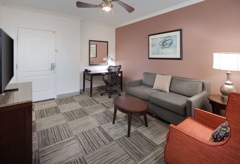 호텔 Hilton Garden Inn Tyler