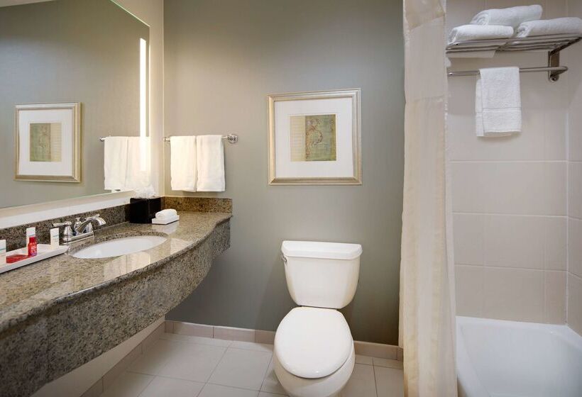 호텔 Hilton Garden Inn Tyler