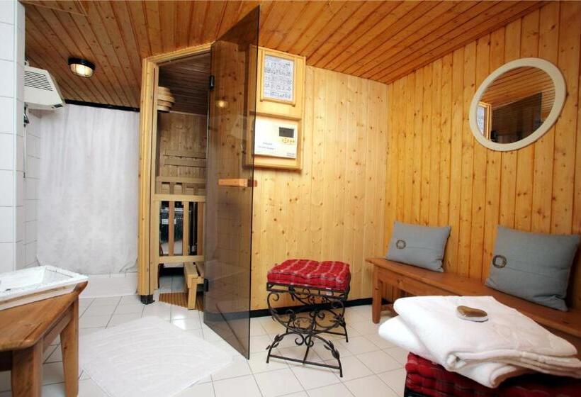 فندق Hôtel Cristal   Swiss Riders Lodge Grimentz