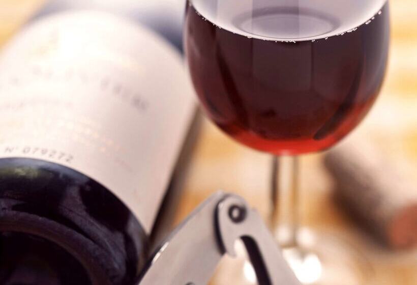 酒店 Ibis Santiago Estacion Central