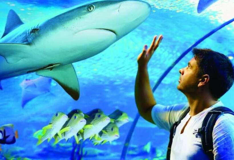 酒店 Koala Beach Resort Cairns