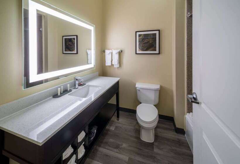 Отель La Quinta By Wyndham Houston New Caney