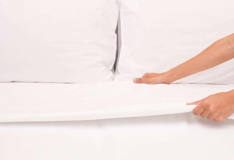 酒店 Magnuson Grand Rushmore View