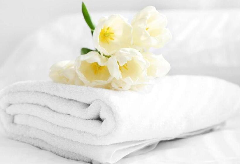 酒店 Magnuson Grand Rushmore View