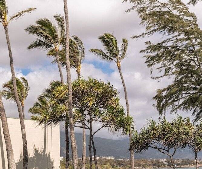 فندق Maui Beach