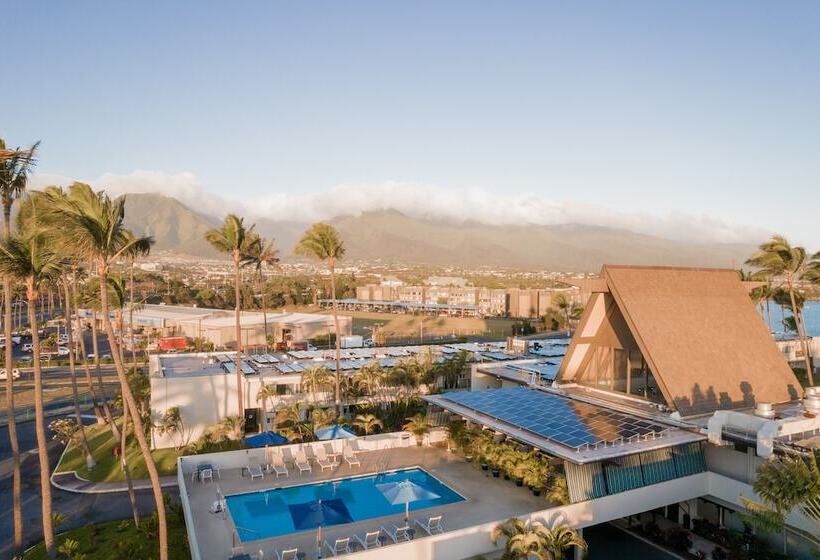 فندق Maui Beach