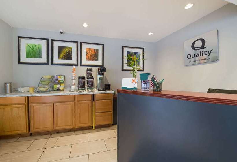 酒店 Quality Inn