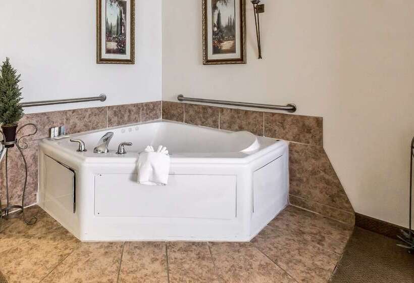 فندق Quality Inn & Suites