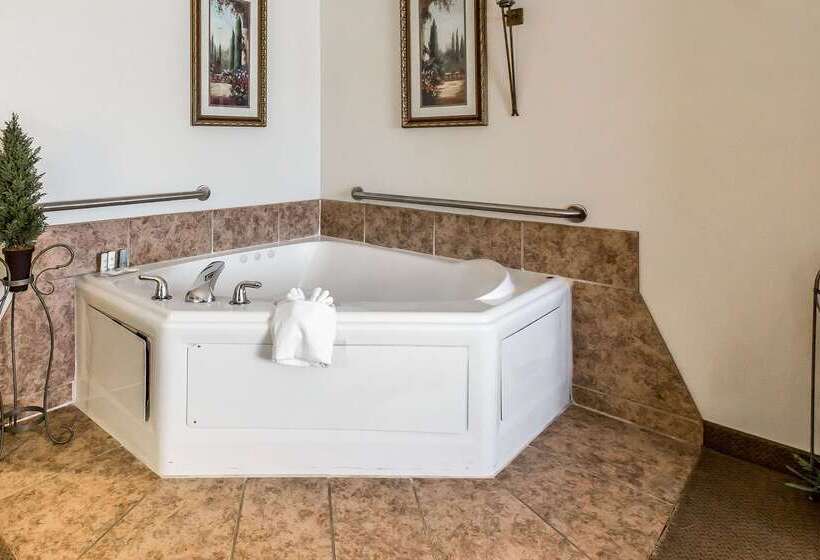 فندق Quality Inn & Suites