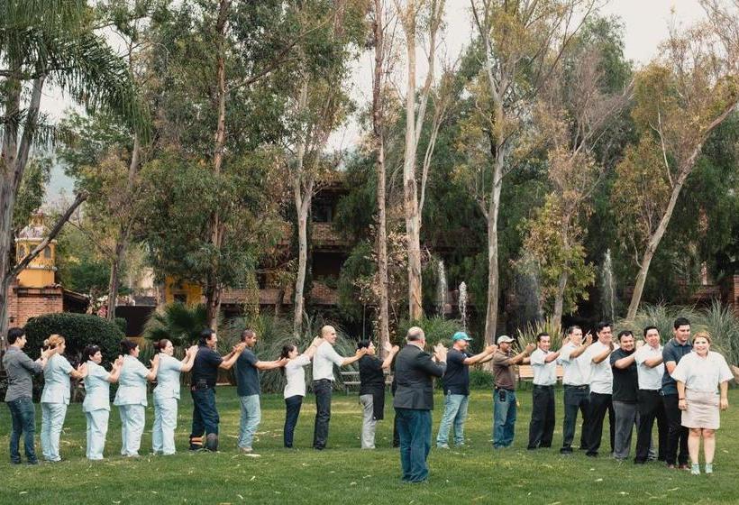 Отель Quinta San Carlos