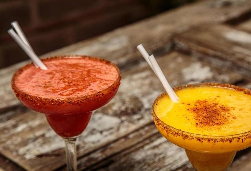 Отель Quinta San Carlos