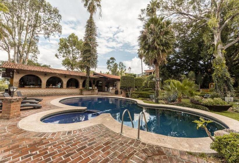 Отель Quinta San Carlos